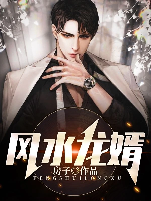 風水龍婿