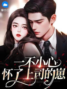 一不小心懷了上司的崽