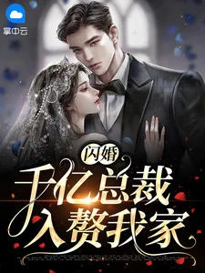 閃婚千億總裁入贅我家