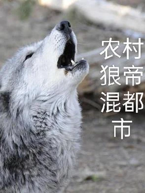 農村狼帝混都市