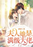 夫人她是滿級大佬
