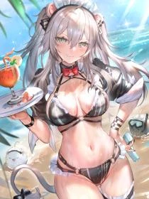 錦書休寄