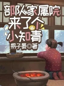 重生八零軍婚，你有白月光我改嫁
