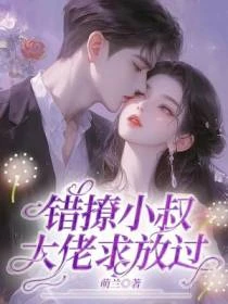 錯撩小叔：大佬求放過