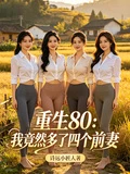 重生80：我竟然多了四個前妻