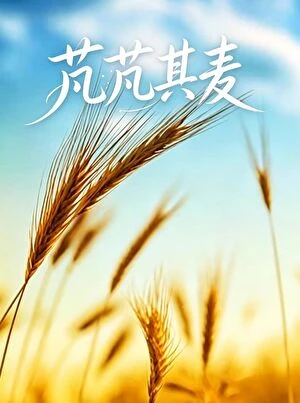 芃芃其麥