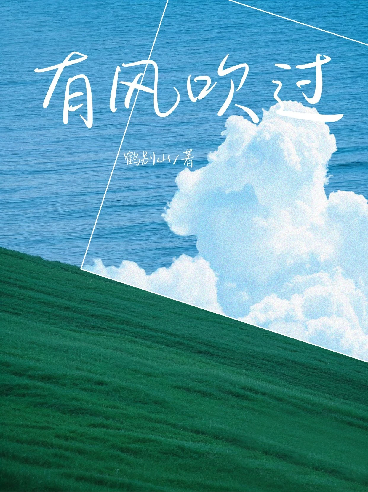有風吹過