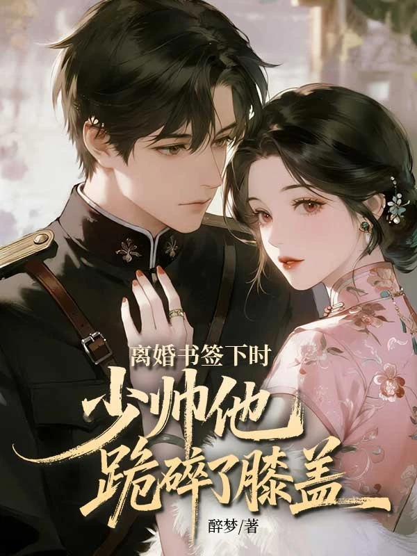 離婚書籤下時，少帥他跪碎了膝蓋