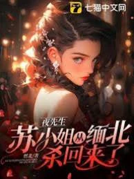 夜先生，蘇小姐從緬北回來了