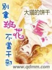 別拿班花不當幹部