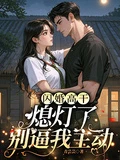 閃婚高幹：熄燈了，別逼我主動