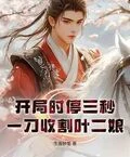 開局時停三秒，一刀收割葉二娘