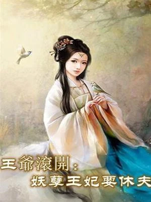 王爺滾開：妖孽王妃要休夫