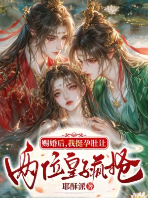 賜婚後，我挺孕肚讓兩位皇子瘋搶