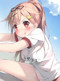 合約騎士