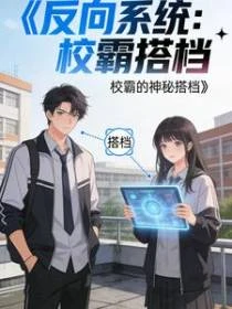 反向系統：校霸的神秘搭檔